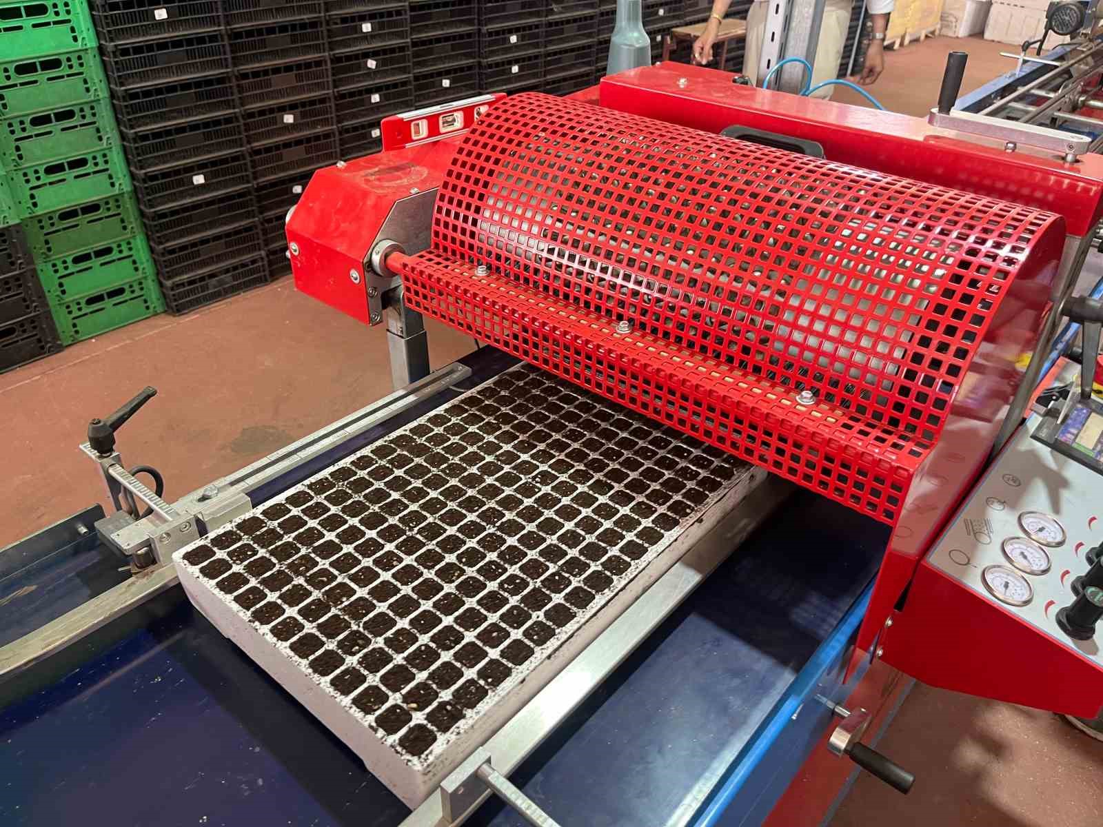 Eskişehir’den 10 milyon bitki fidesi Türkiye’nin dört bir yanına gönderiliyor