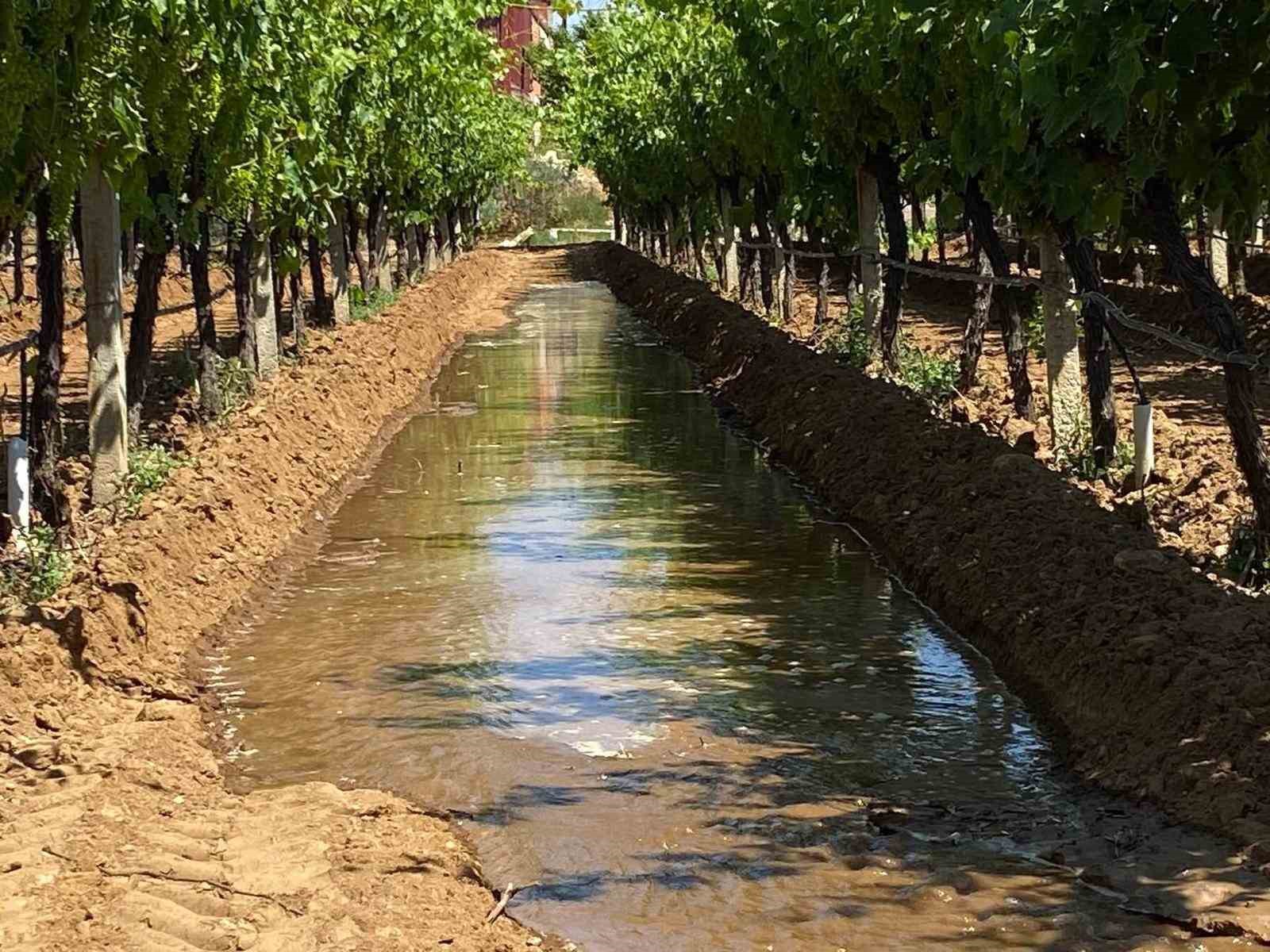 Sarıgöl Ovası’nda üzüme can suyu
