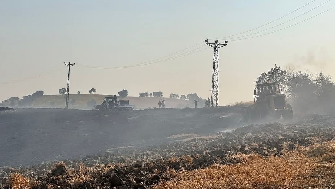 Samsun’da korkutan anız yangını
