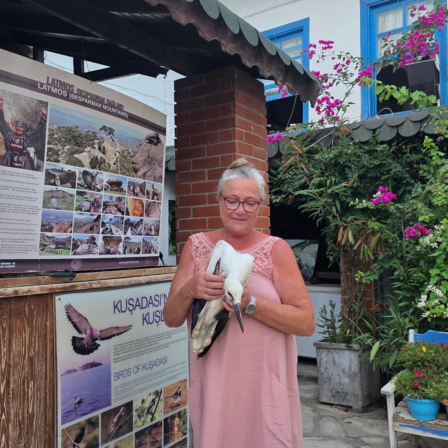 Yavru Leylek EKODOSD’da bakıma alındı, göç için hazırlanıyor
