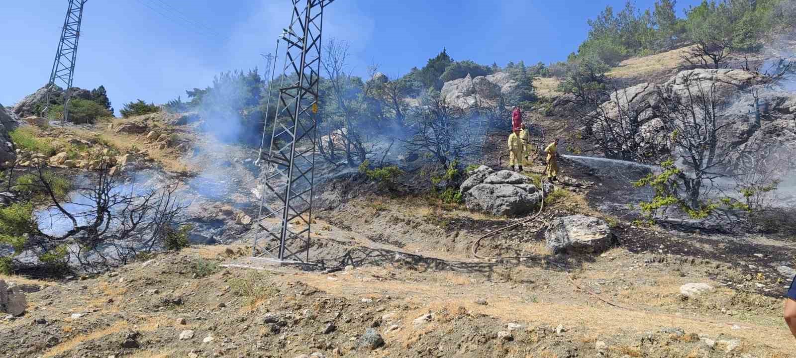Gölbaşı’nda orman yangını