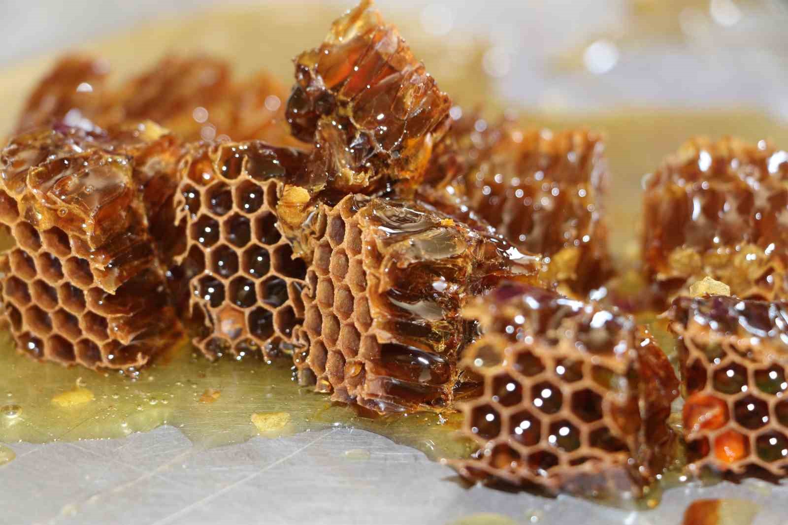 Dünyaca ünlü Anzer balında referans kovanlarında sağım gerçekleşti
