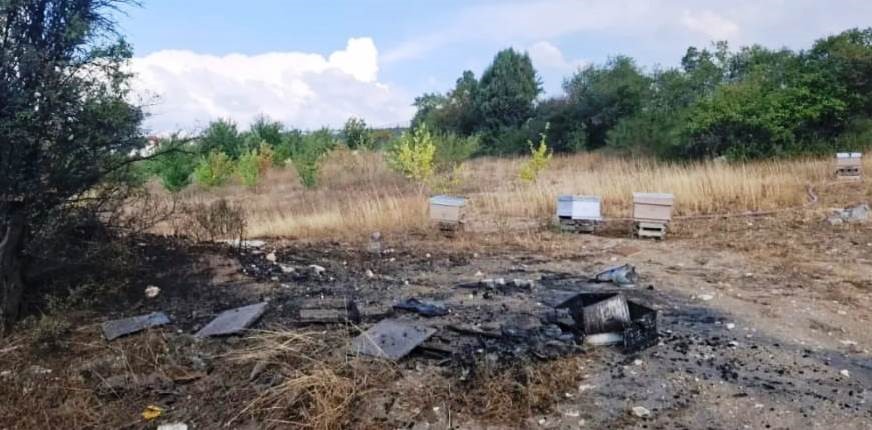K&uuml;tahya&rsquo;da arazi yangınında 7 arı kovanı k&uuml;l oldu
