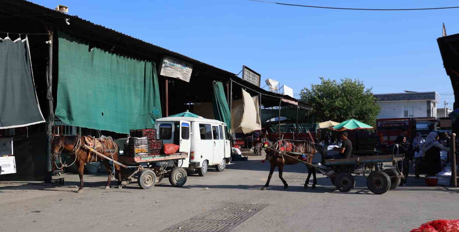Acarlar’da eli ayağı tutan herkes çalışıyor
