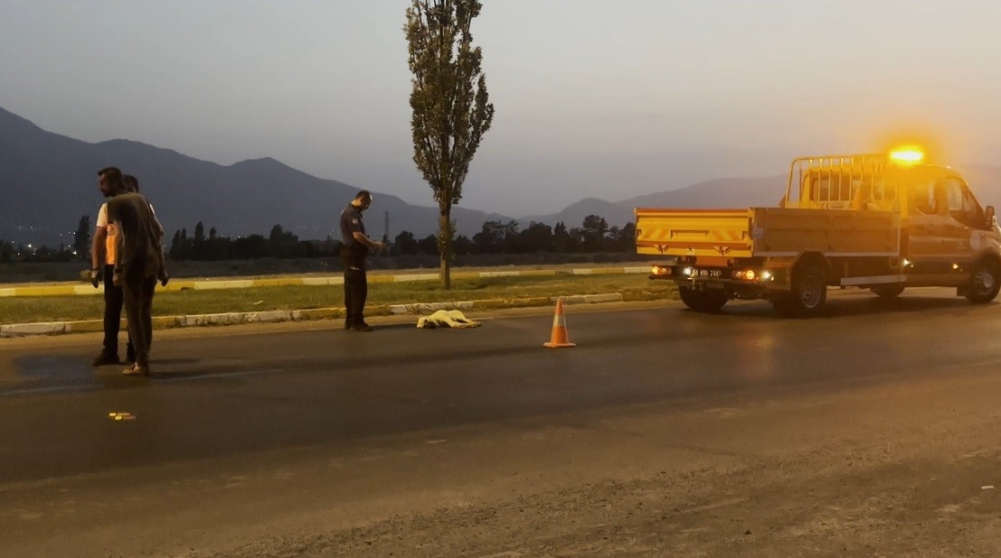 Erzincan-Erzurum kara yolunda duygulandıran g&ouml;r&uuml;nt&uuml;
