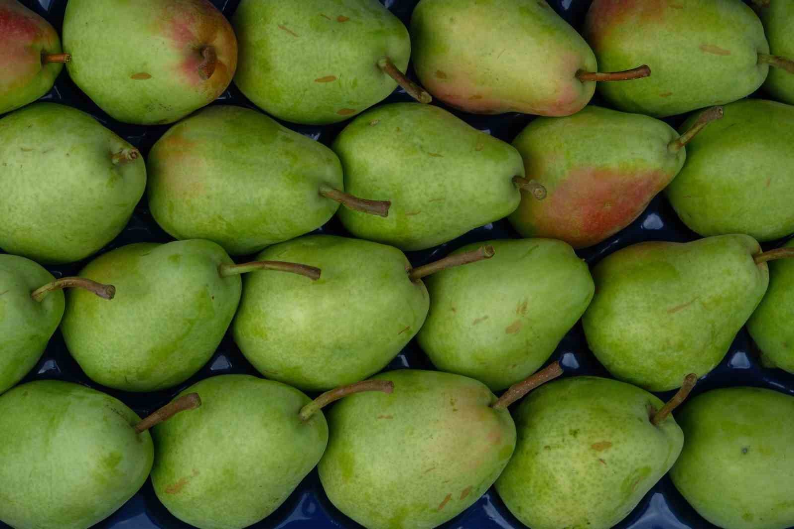 İtalyanlardan öğrenen Bursalı çiftçiler İtalyanları geride bıraktı
