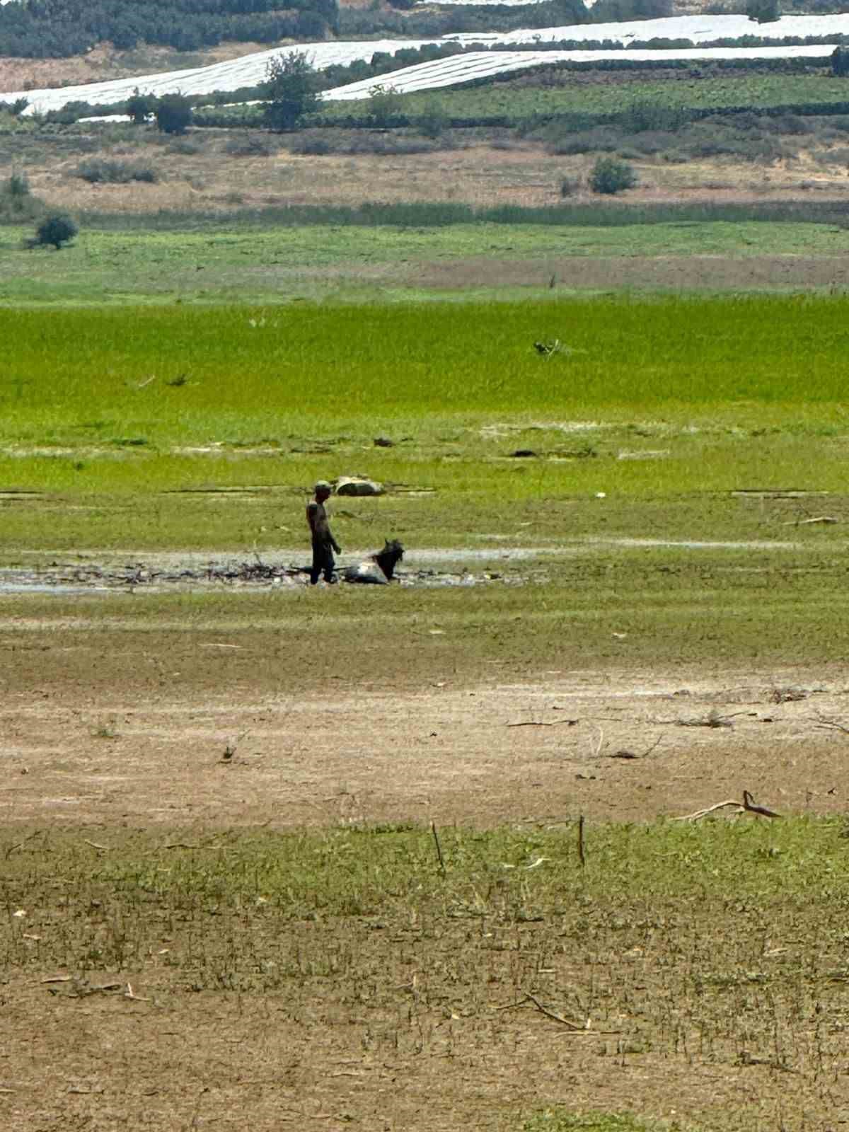Ekiplerin canhıraş mücadelesi takdir topladı