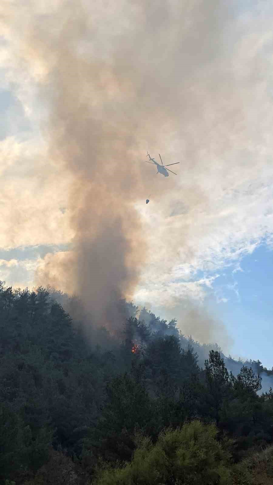 Karabük’te orman yangını çıktı