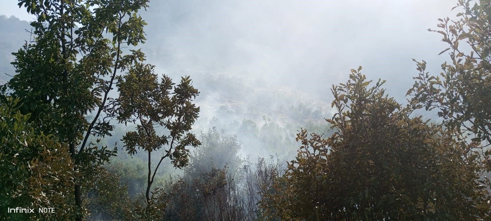 Şırnak&rsquo;taki orman yangını 9 saatte kontrol altına alındı
