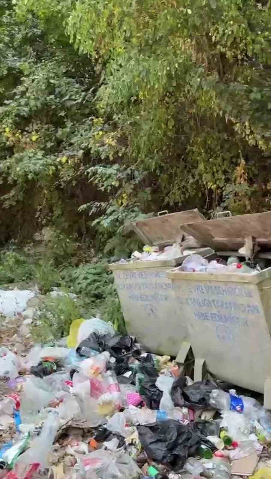 Türkiye’nin en büyük blok ormanlarını barındıran Şeker Kanyonu çöplerle kirletildi
