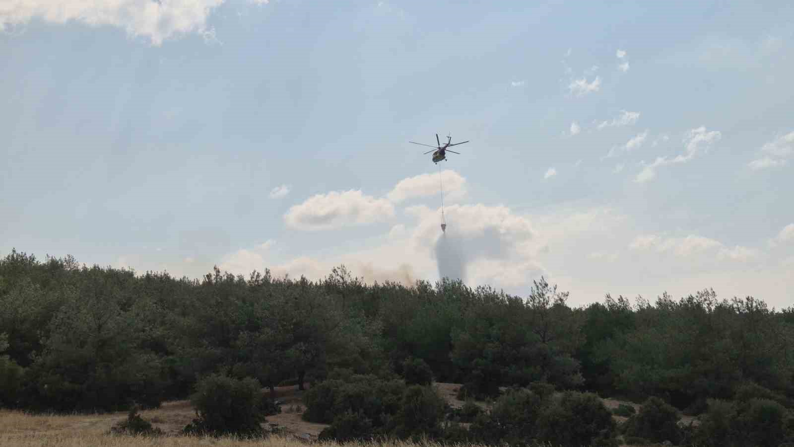 Edirne&rsquo;de &ccedil;ıkan yangın ormanlık alana sı&ccedil;radı: Havadan ve karadan m&uuml;dahale ediliyor

