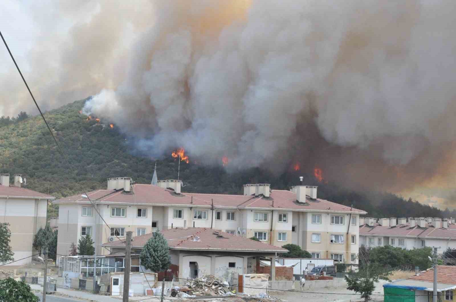 Edirne’deki orman yangınında imdada yağmur yetişti