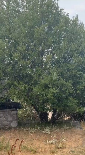 Uludağ 10 dakikalık yaz yağmuruyla serinledi
