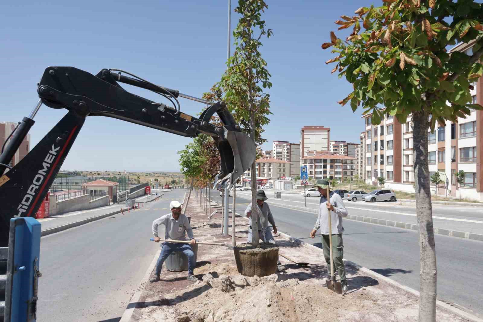 Nevşehir&rsquo;de orta ref&uuml;jler modern bir g&ouml;r&uuml;n&uuml;me kavuşuyor
