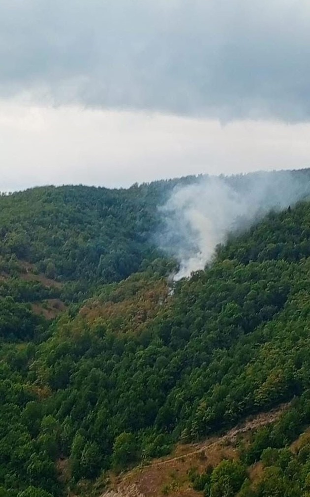 Çatalzeytin’de çıkan orman yangını kontrol altına alındı