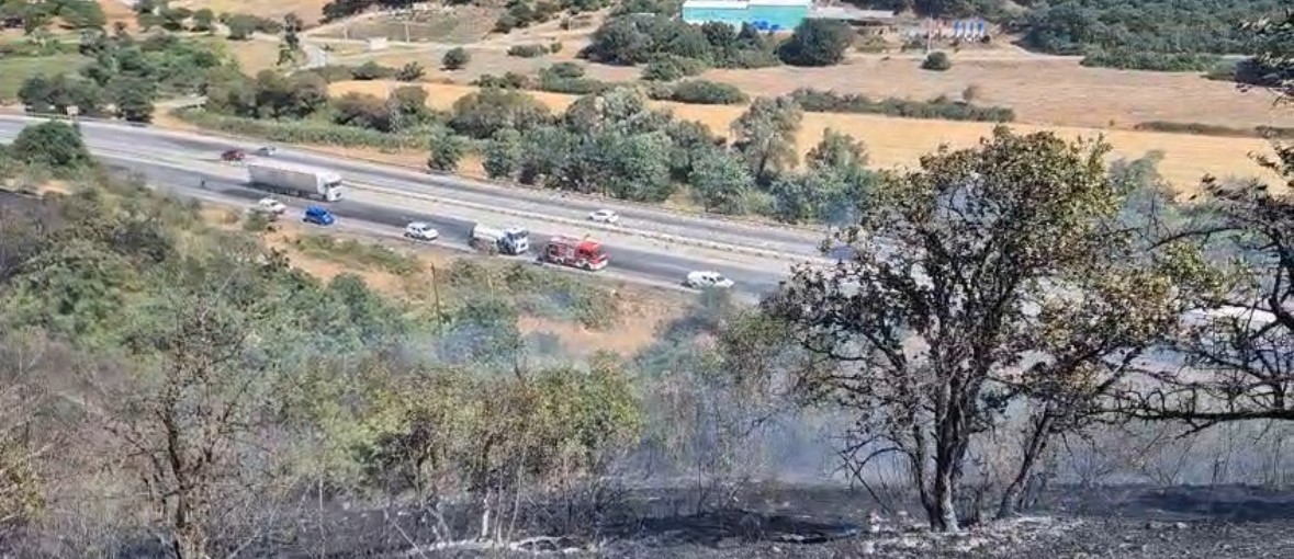 Balıkesir&rsquo;de otluk ve makilik alanda &ccedil;ıkan yangın kontrol altına alındı
