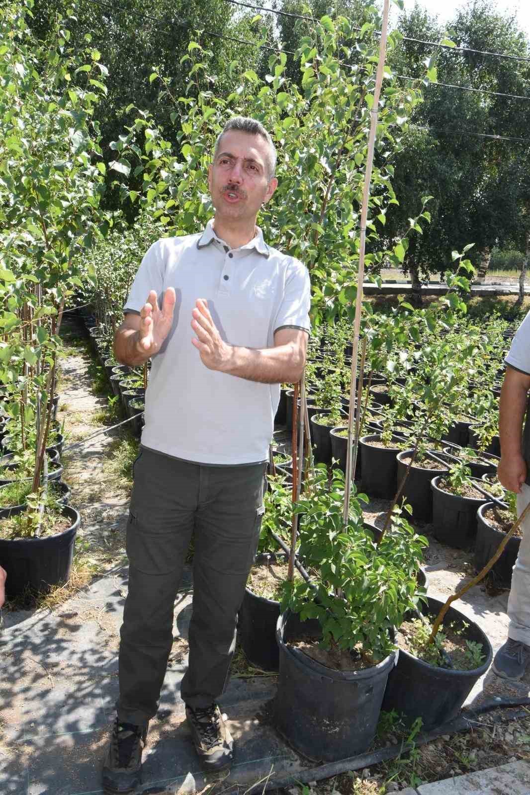Erzurum Orman Bölge Müdürü Karakurt: "Bölgede yıl sonuna kadar 908 bin fidan toprakla buluşturulacak"
