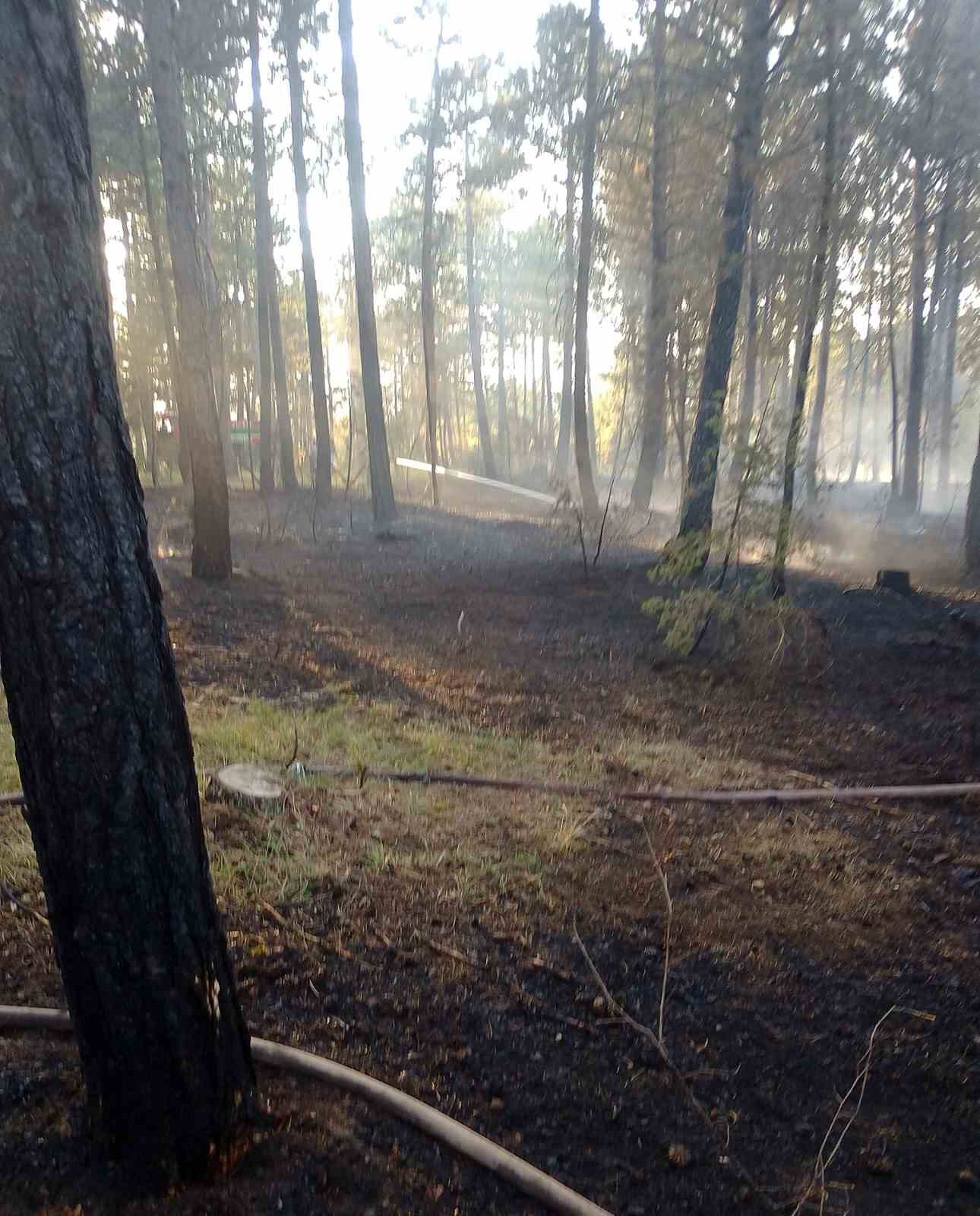 Kastamonu’da ormanlık alanda çıkan yangın büyümeden söndürüldü