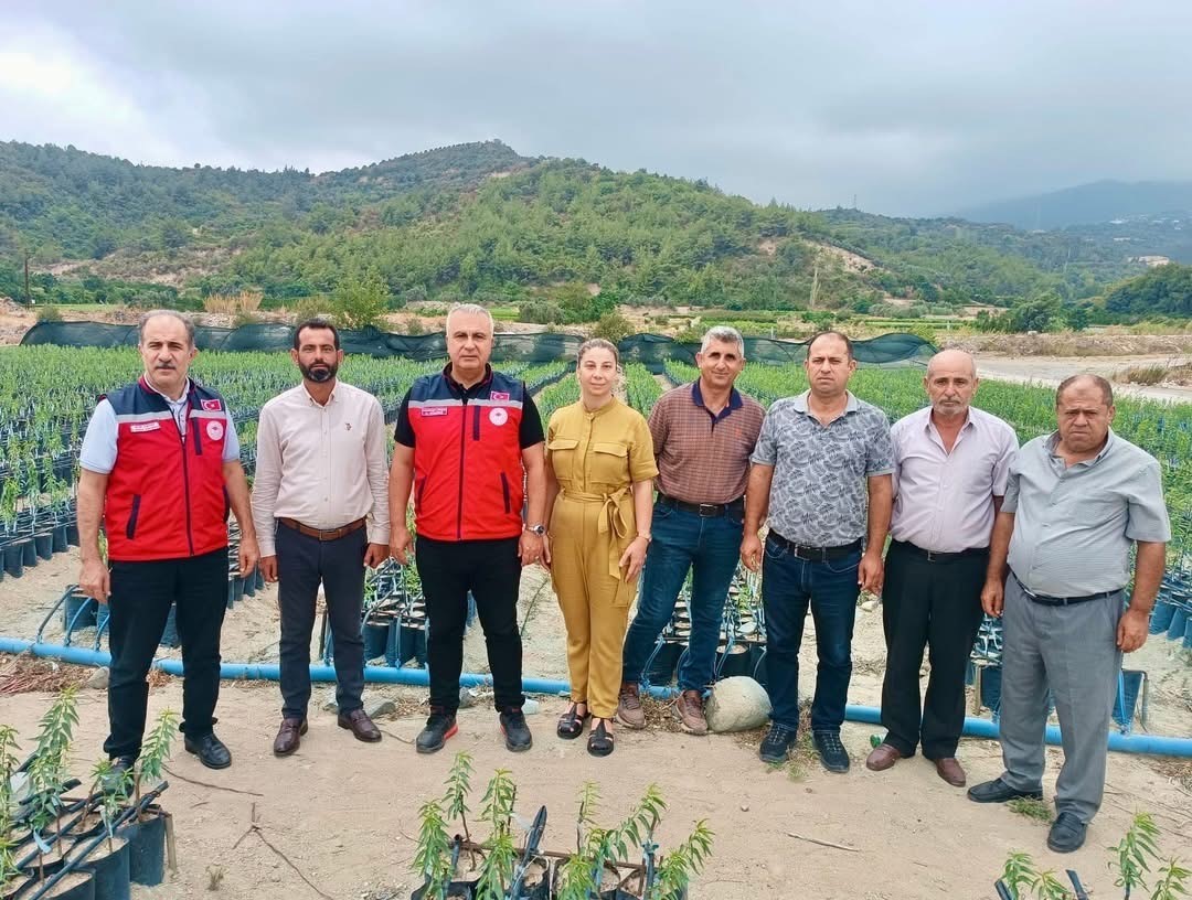 İl Tarım Müdürü Türkmen, fidan üretim sahalarını inceledi
