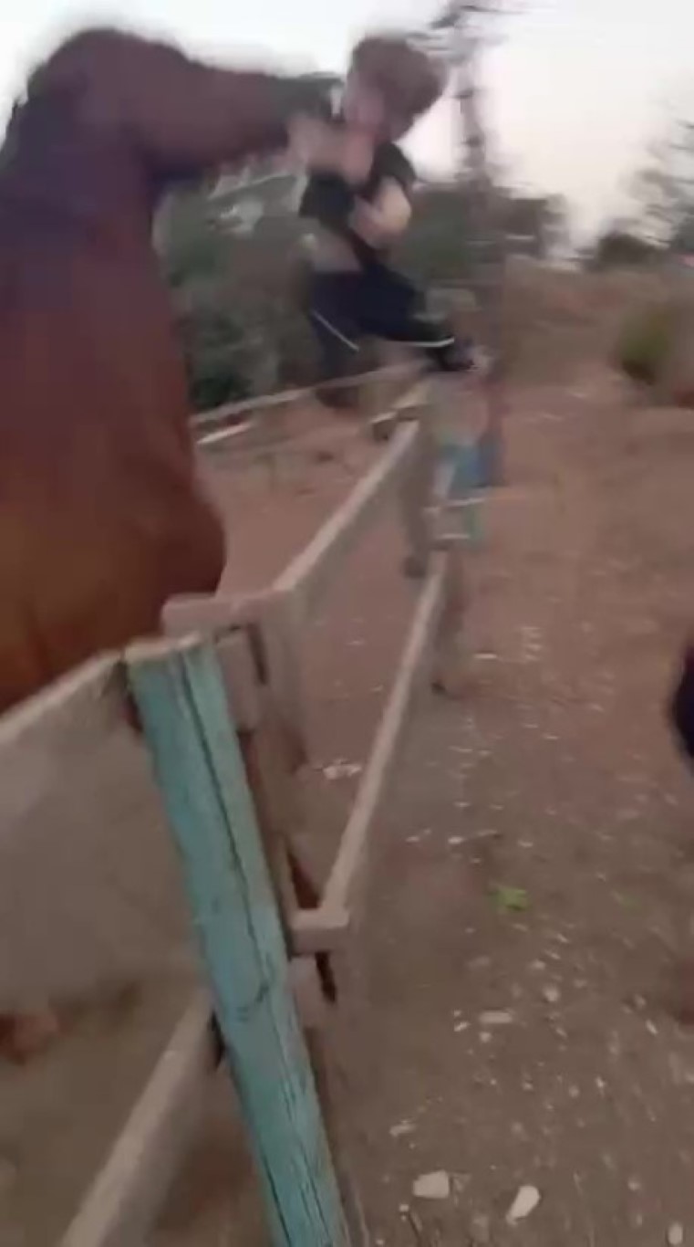 Attan beklenmedik hareket: Babasının kucağındaki çocuğu ısırarak alıp havaya fırlattı