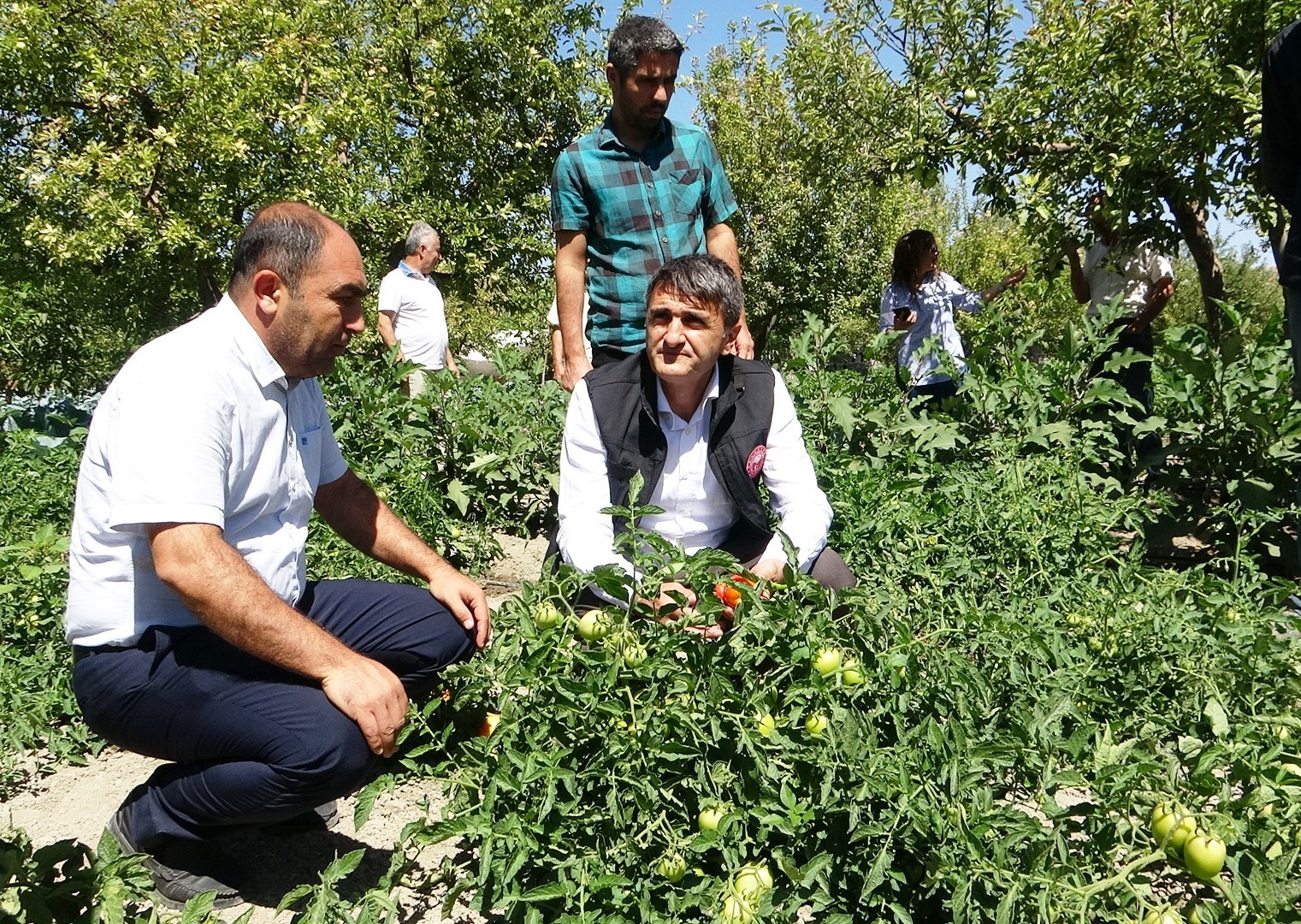 Modern basınçlı sulama sistemiyle hem işçilikten hem de verimden kazandı