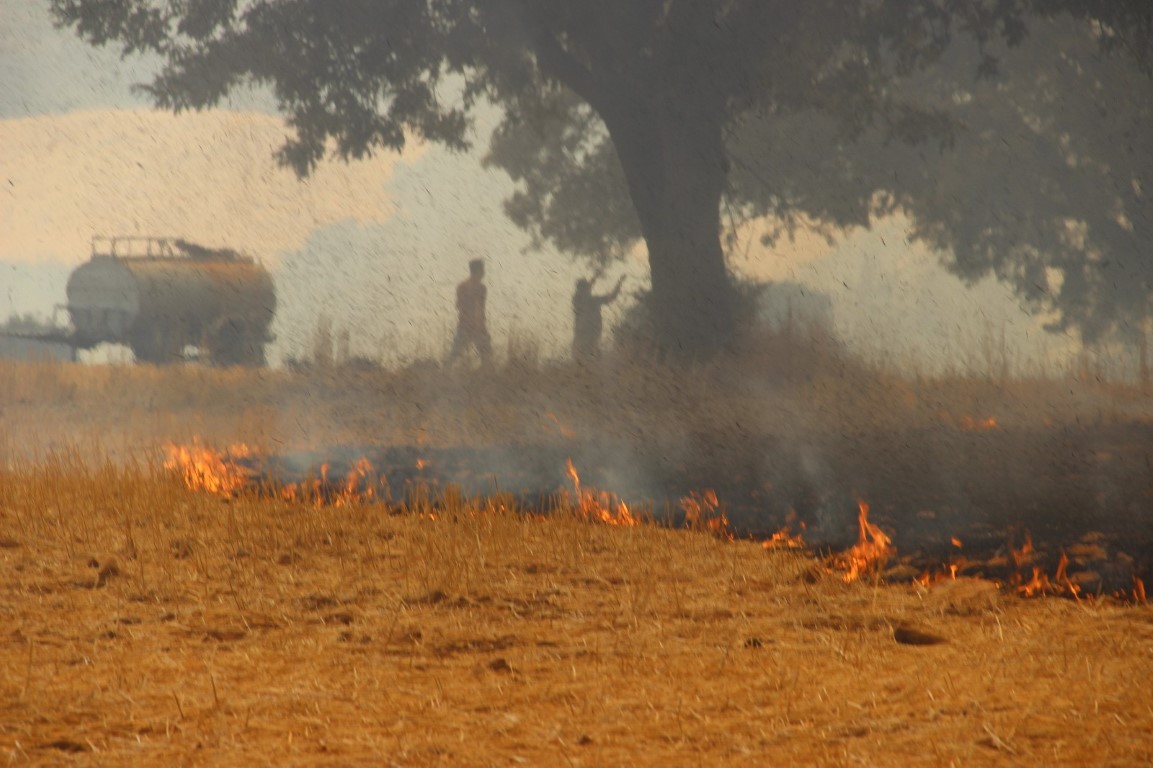 Çanakkale’de orman yangınına 8 uçak, 4 helikopterle havadan müdahale ediyor