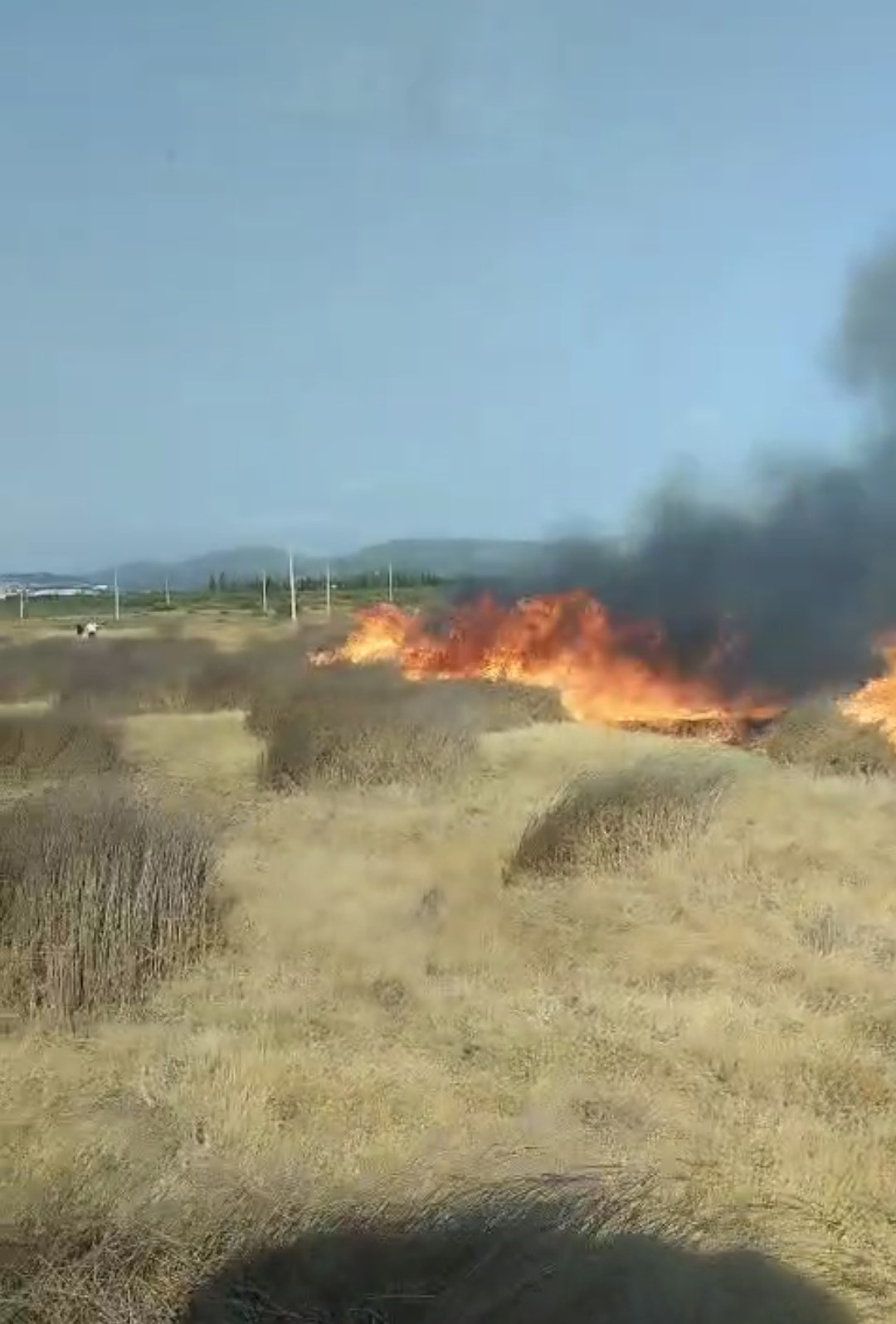 Gömeç’te arazi yangını: Ekiplerin müdahalesi sürüyor