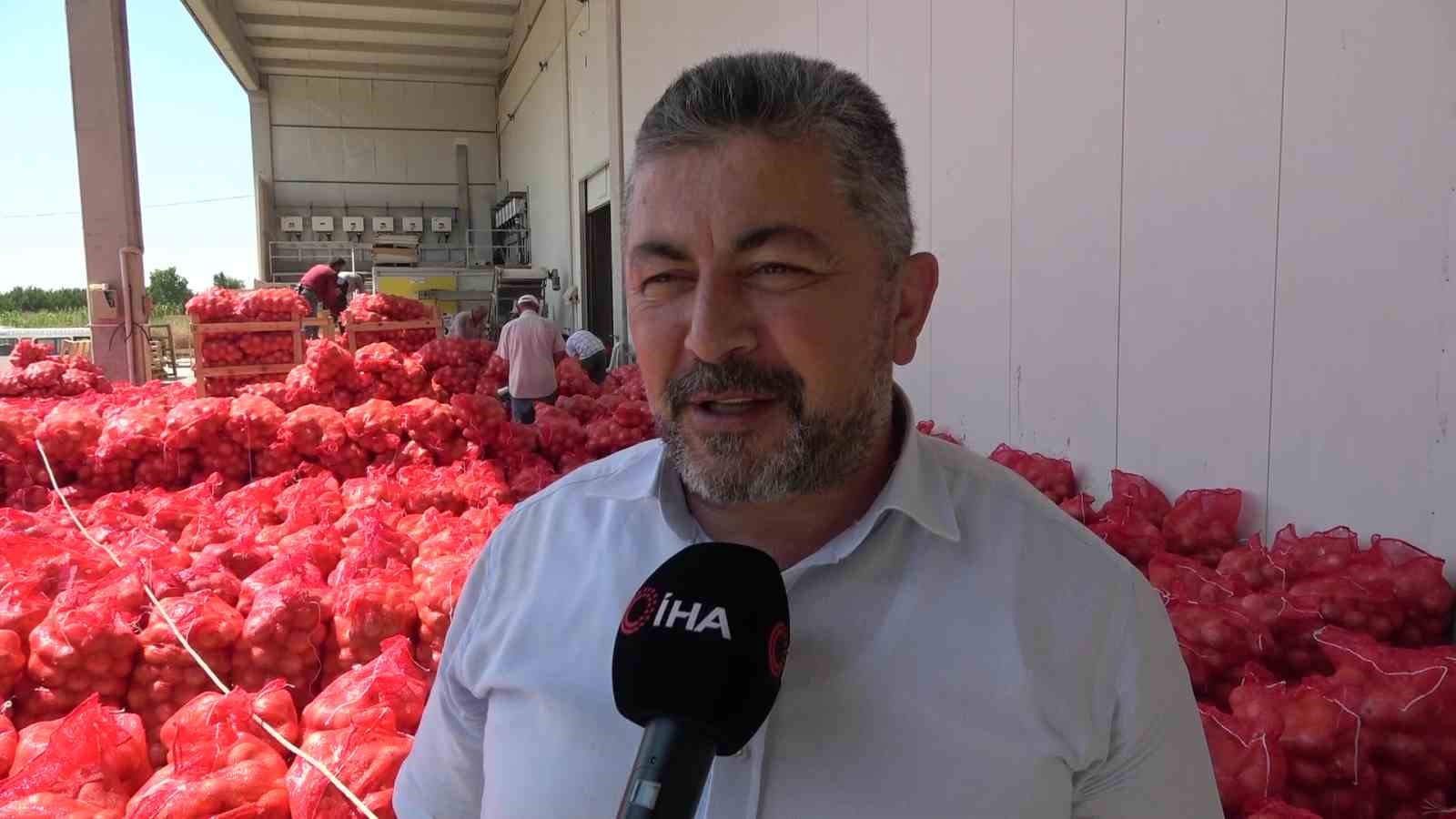 Amasya soğanı Avrupa’ya satılıyor
