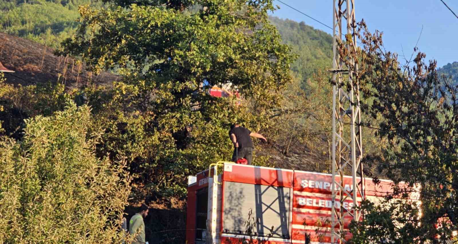 Kastamonu’da aynı bölgede ikinci orman yangını: 5 samanlık küle döndü