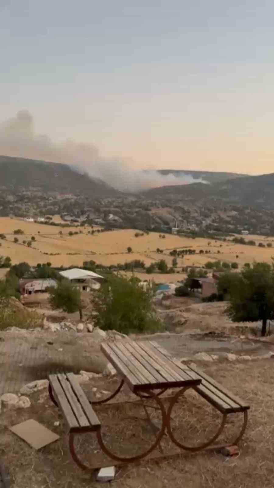 Diyarbakır&rsquo;da ağa&ccedil;lık alanda korkutan yangın: Alevlerin yaklaştığı ev tahliye edildi
