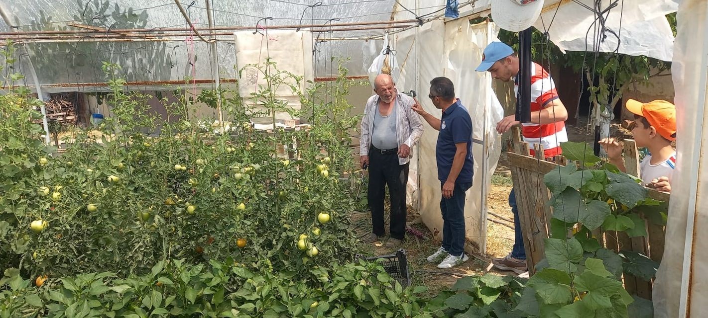 Tavşanlı’da seralarda bitki hastalık ve zararlı kontrolleri
