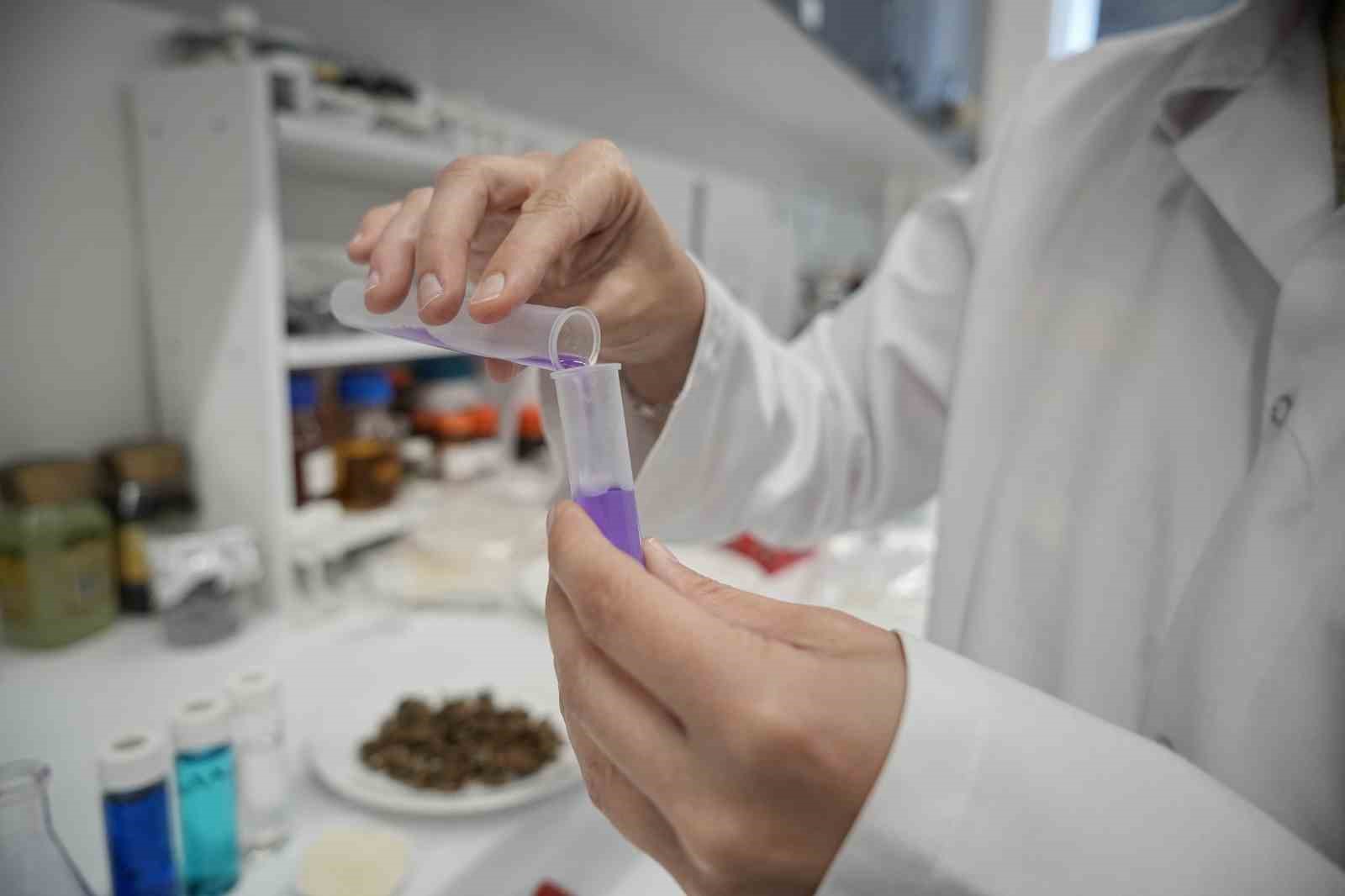 Zehir akan Nilüfer Çayı’nda çözüm organik atık, tekstil atıklarında yüzde yüz sonuç alındı
