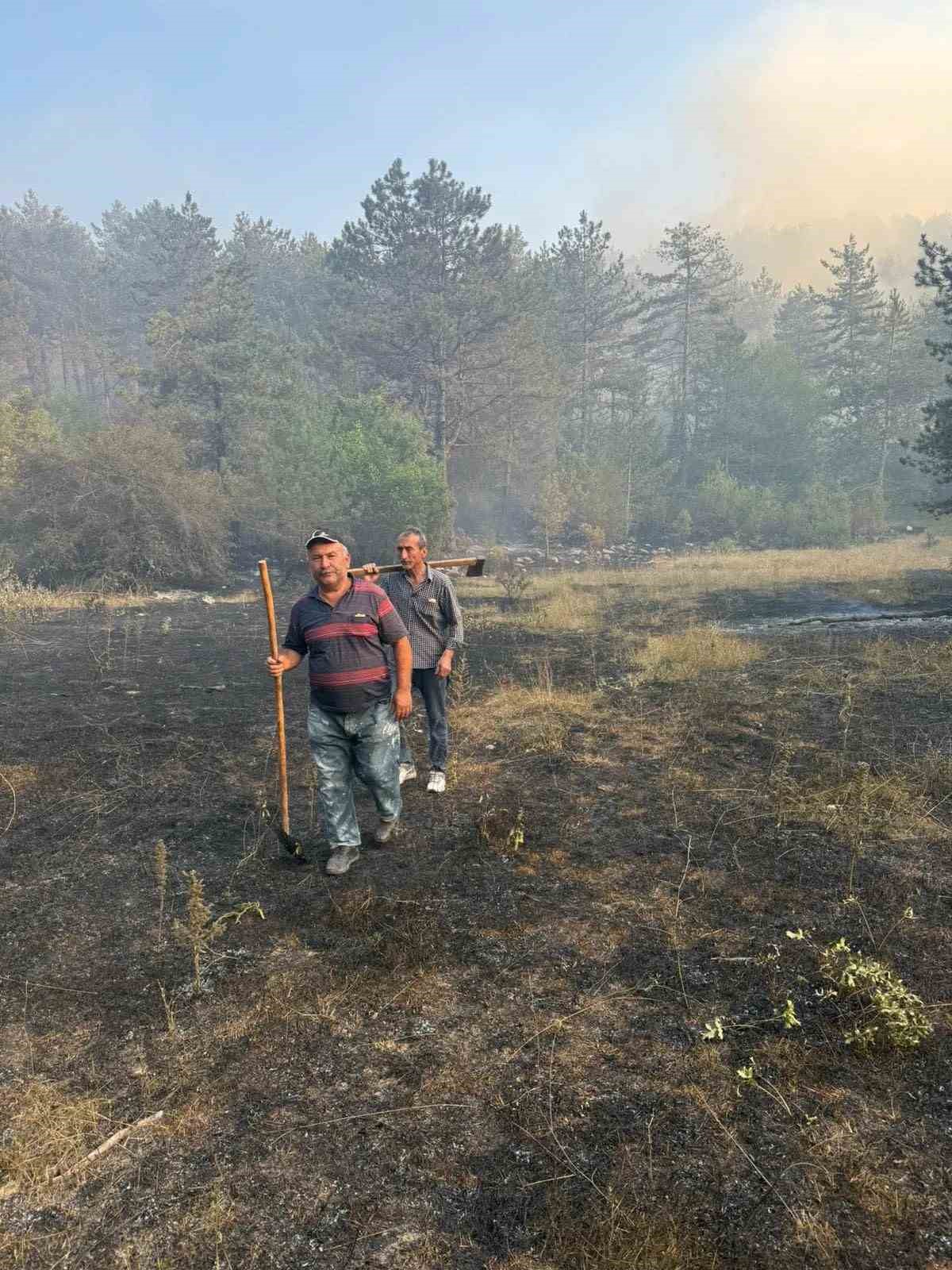 Sinop&rsquo;taki orman yangını kontrol altına alındı, soğutma &ccedil;alışmaları s&uuml;r&uuml;yor
