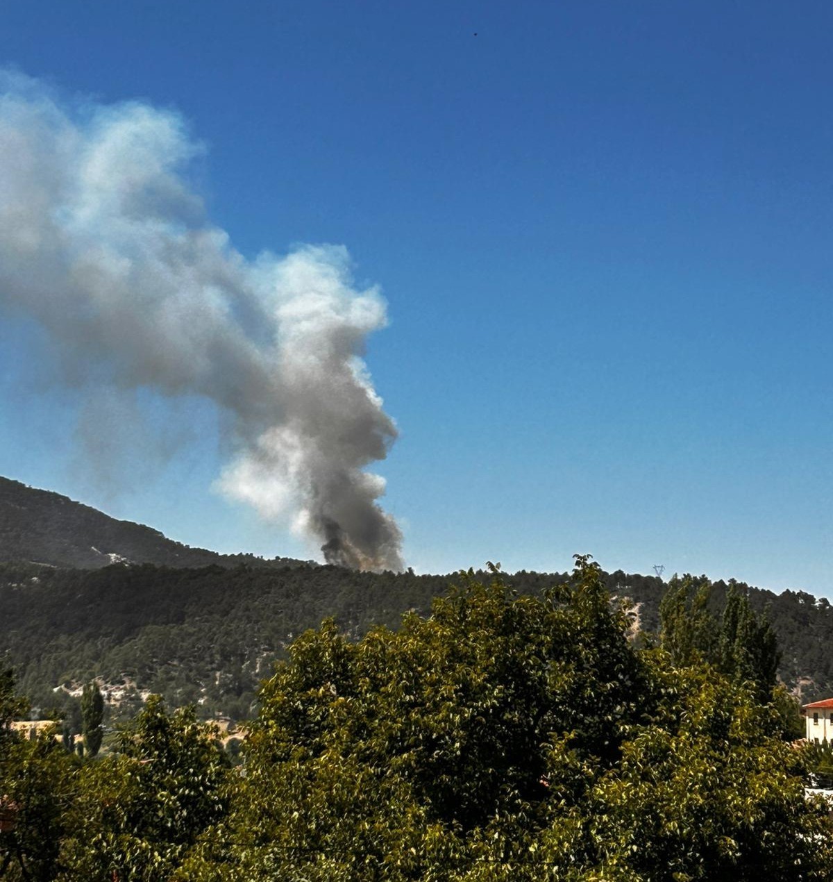 Honaz’da orman yangını
