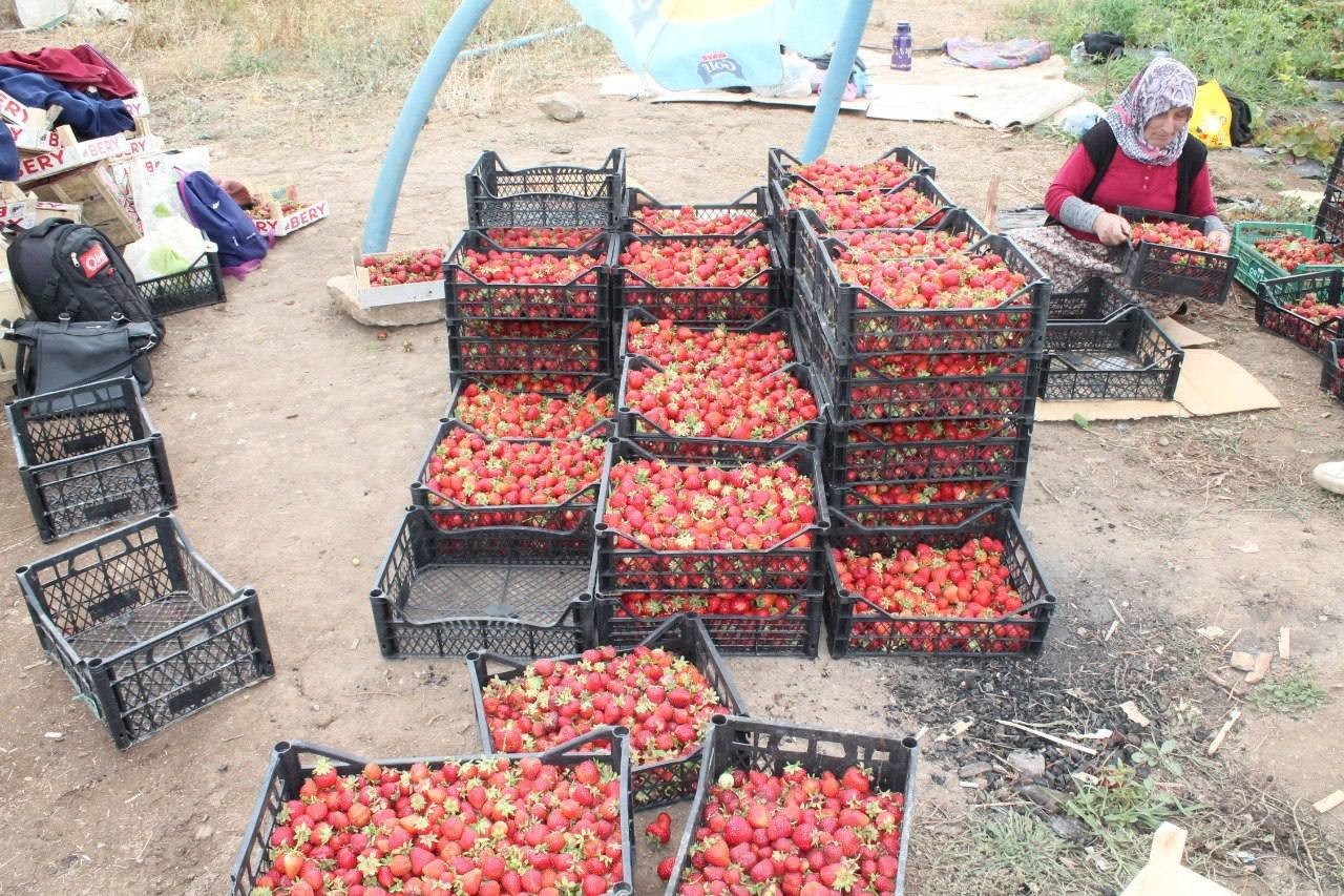 20 d&ouml;n&uuml;m alanda işe başladı 15 kadına umut oldu

