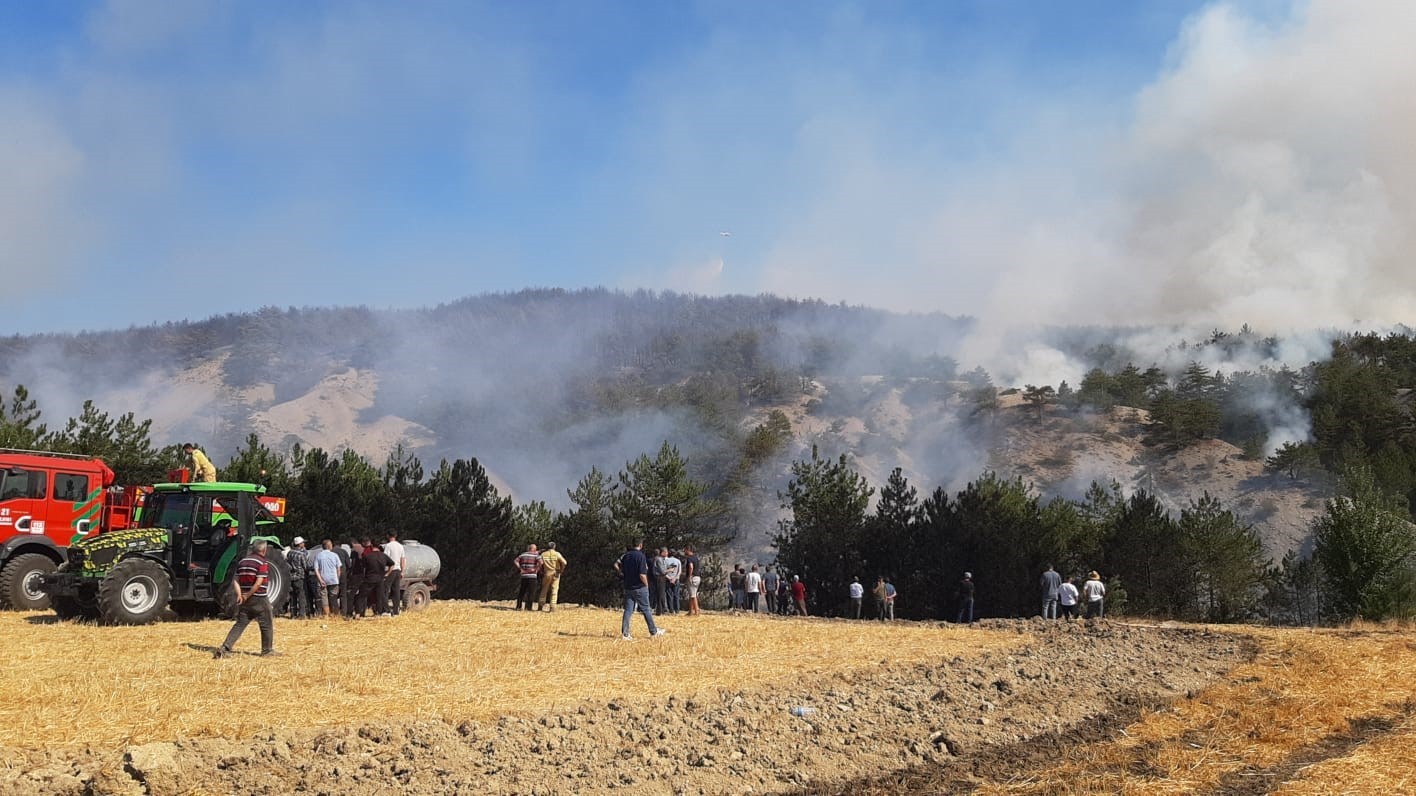 Bolu’daki orman yangını 5.saatinde