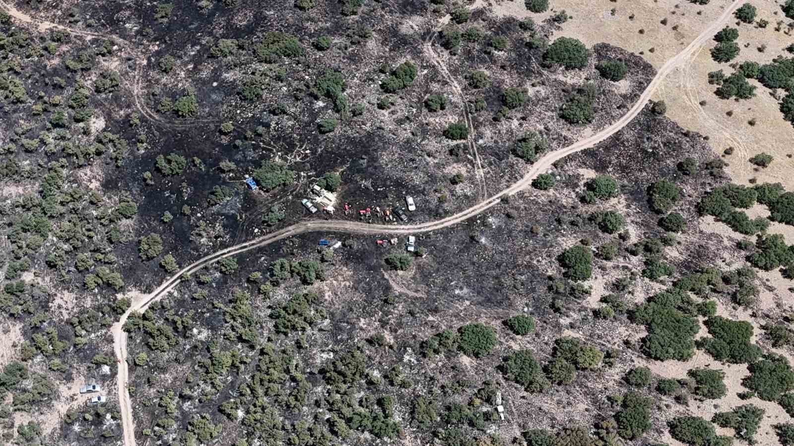 Konya’da ormanlık alanda yangın paniği