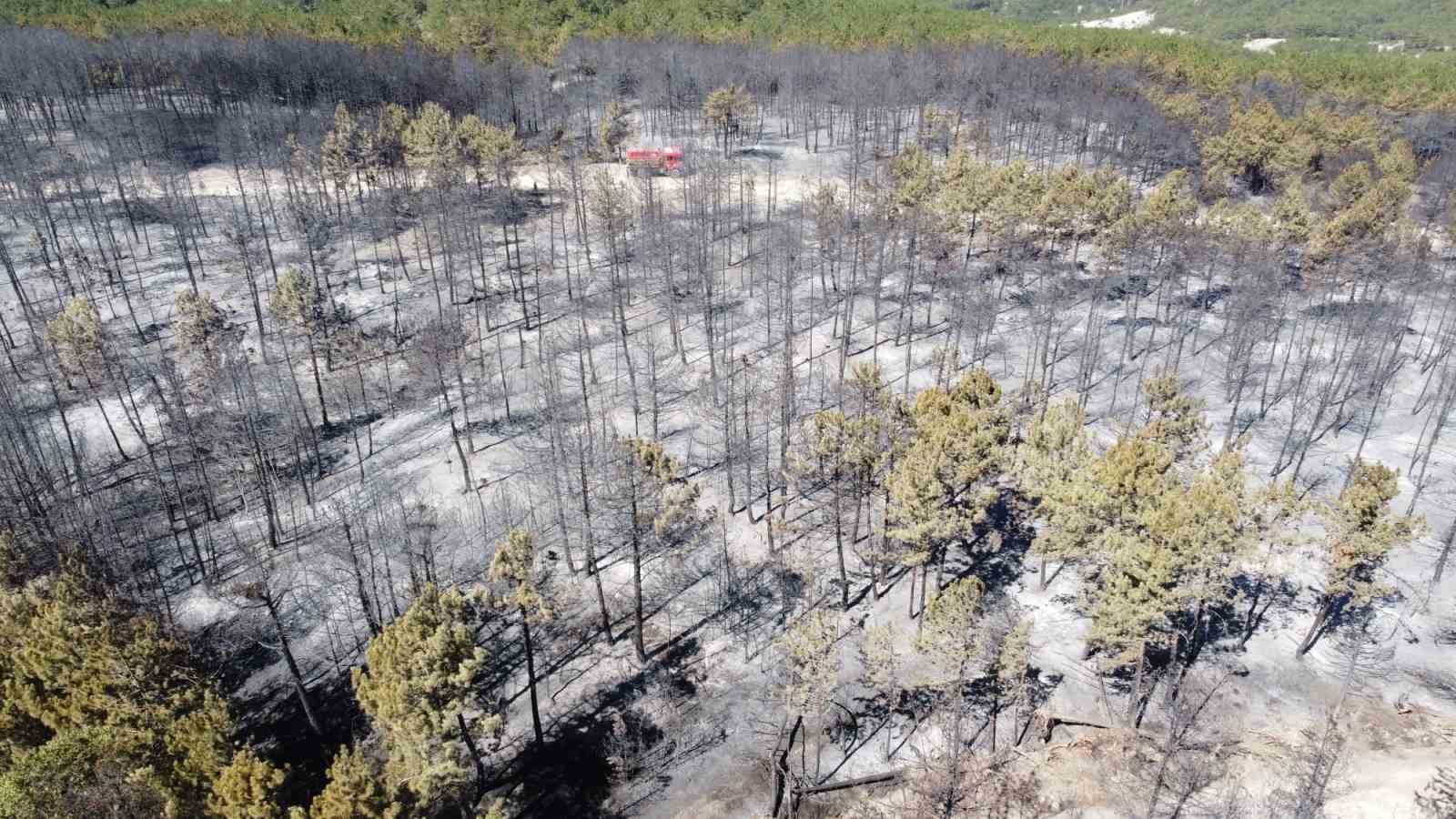Bolu&rsquo;daki orman yangını tamamen kontrol altına alındı
