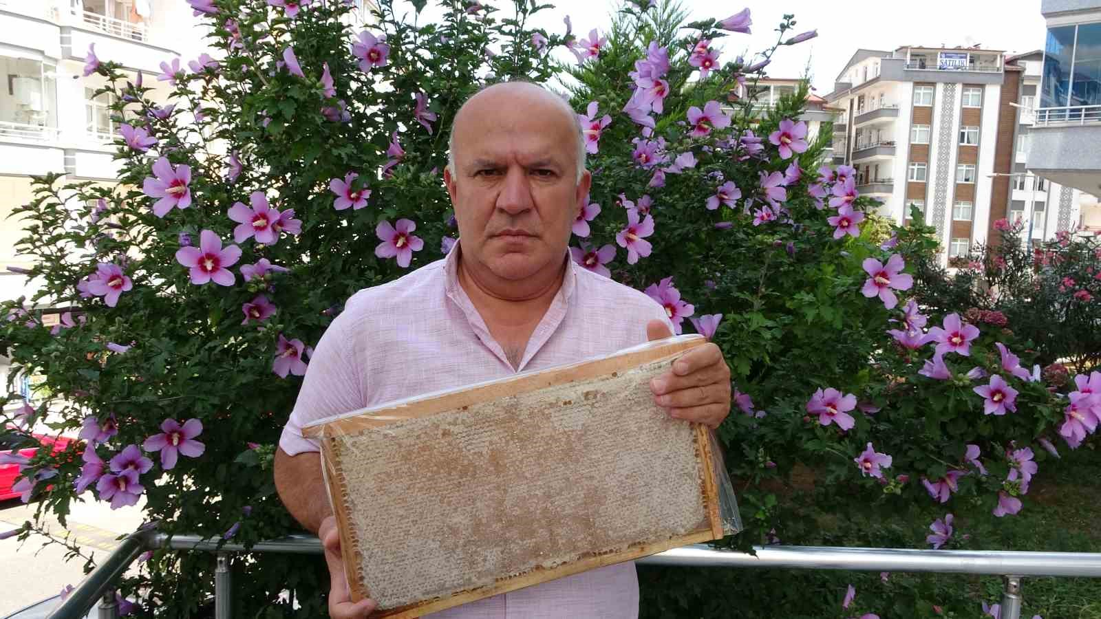 Ordulu arıcılar bal hasadına başladı
