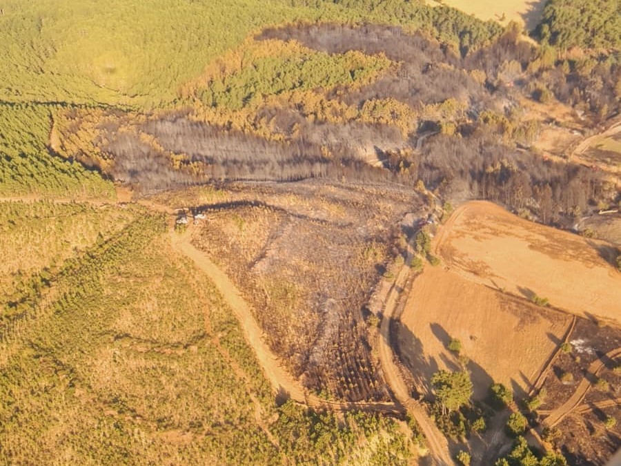Uşak&rsquo;taki orman yangını kısmen kontrol altına alındı
