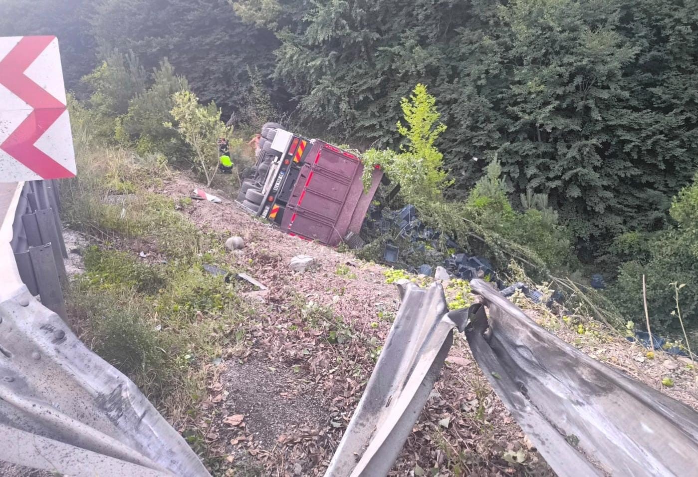 Kontrolden &ccedil;ıkan kamyon şarampole yuvarlandı: 3 yaralı
