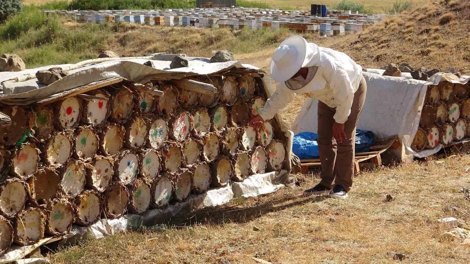Küresel ısınma arıcıları tedirgin ediyor
