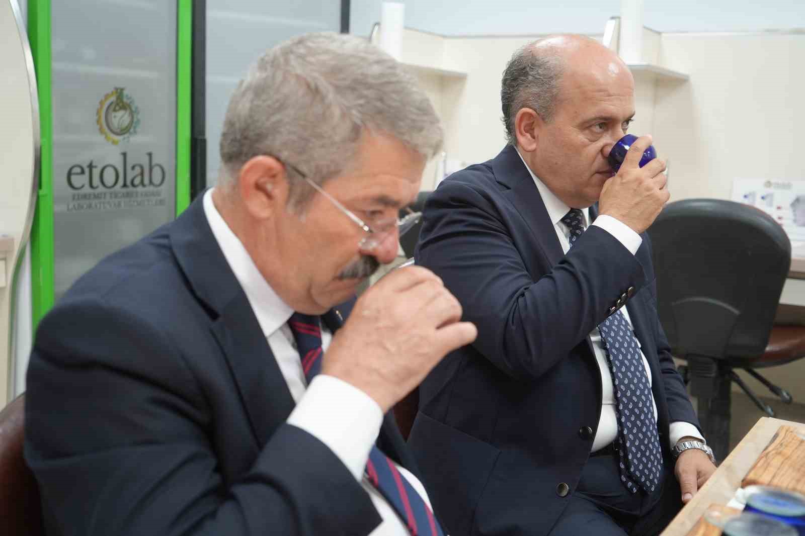 Van Edremit ile Balıkesir Edremit arasında hava yolu ile dostluk ve barış köprüsü kurulmak isteniyor