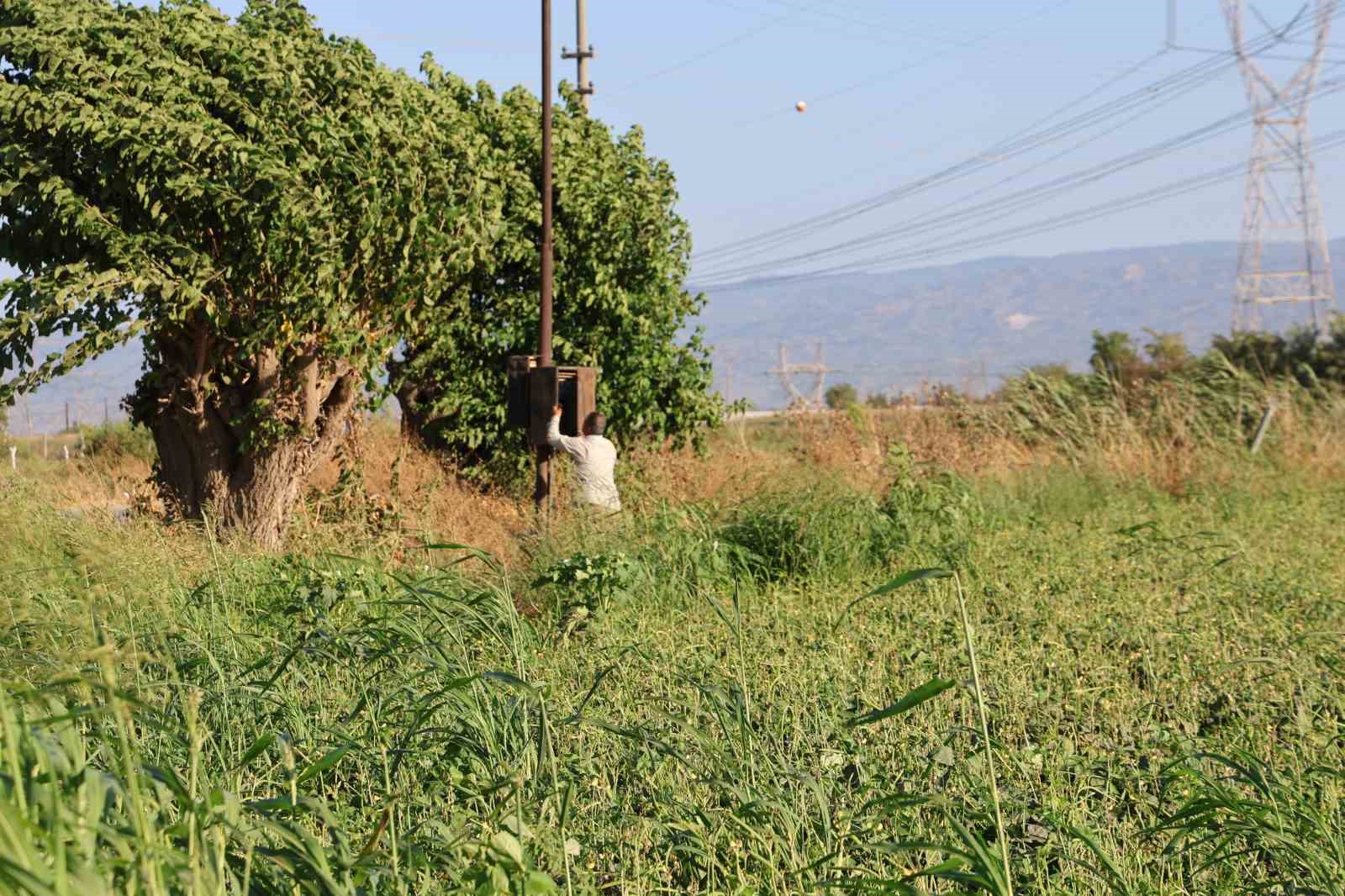 Aydın’da su kıtlığı çiftçilerin mesai saatlerini değiştirdi
