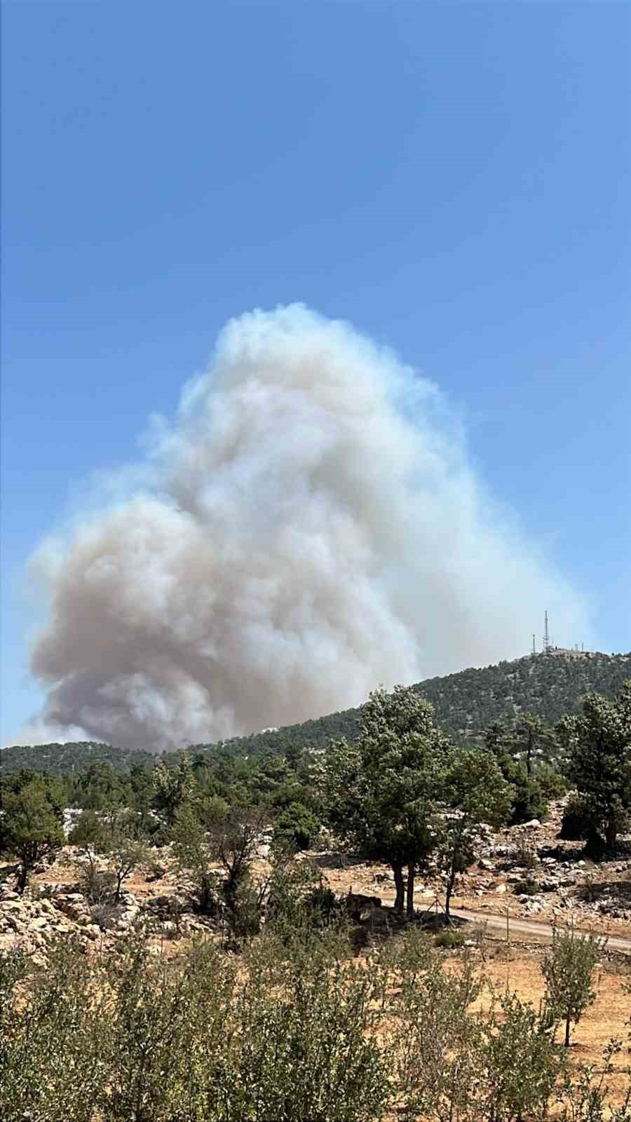 Mersin’de orman yangını