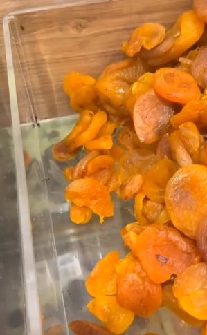 Kuru yemişçide kilolarca böceklenmiş ürün imha edildi