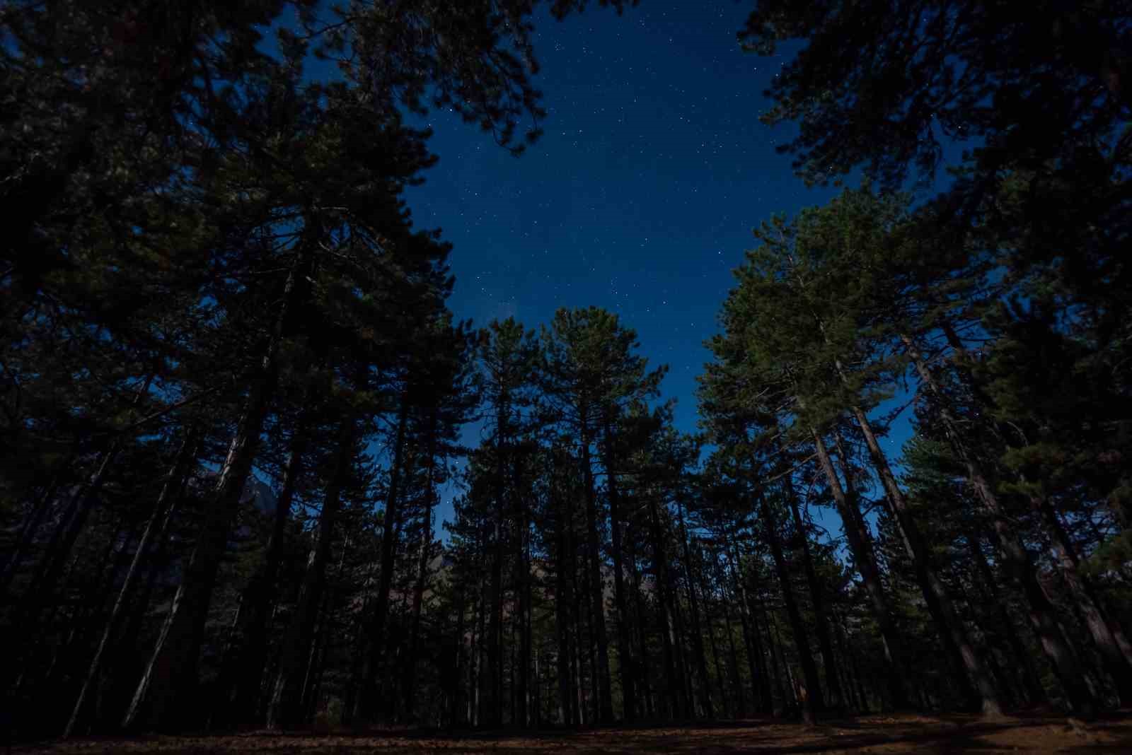 Isparta Melikler Yaylası’nda Perseid yağmuru Gökyüzü Şölenine dönüştü
