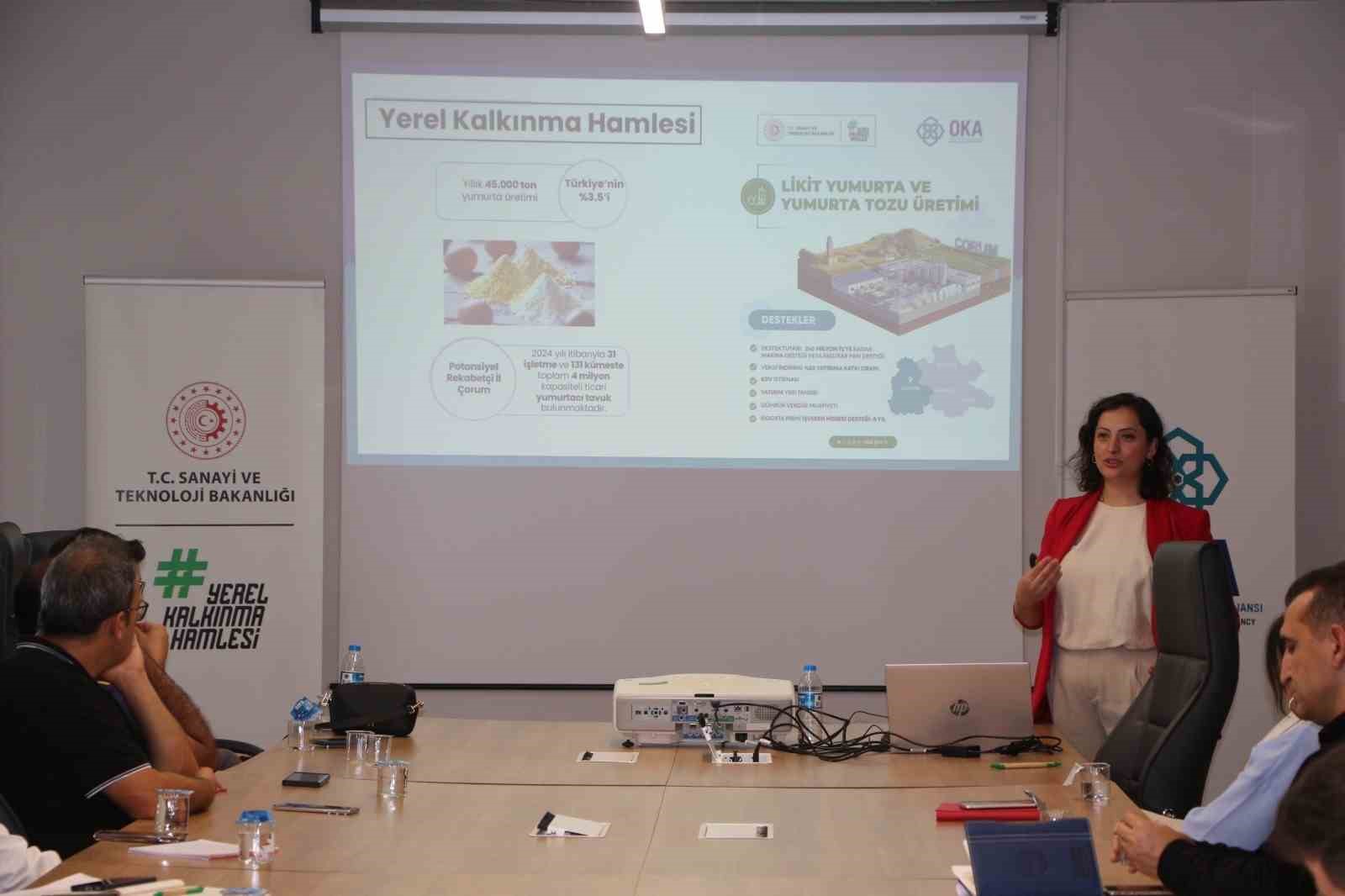 Yerel Kalkınma Hamlesi Teşvik Programı Çorum’da tanıtıldı