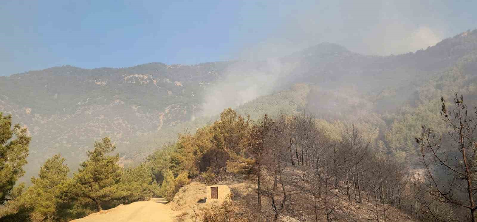 Hatay&rsquo;da yangınla m&uuml;cadele 14. saatte devam ediyor
