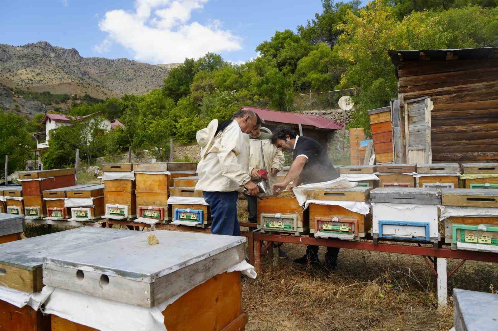 Gümüşhane’de 2025 yılı bal hasadı üreticilerin yüzünü güldürdü
